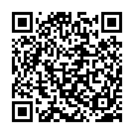 QR code for PPA217