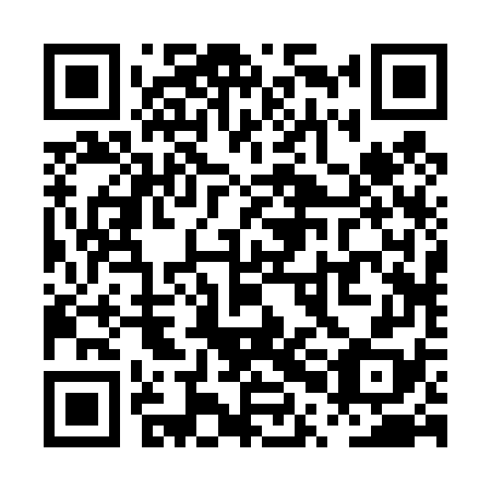 QR code for plate PPB-478