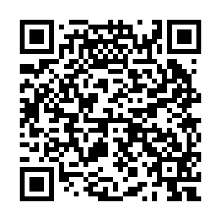 QR code for PPS293