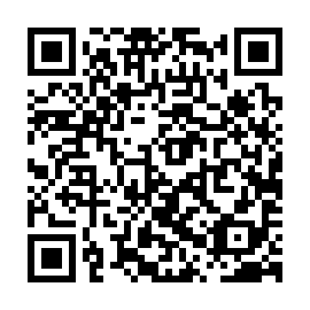 QR code for plate PPT-398