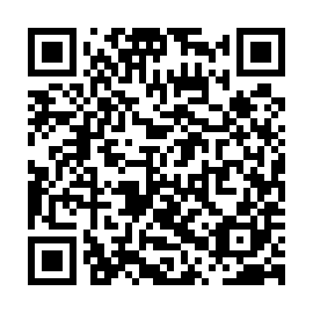 QR code for plate PPU-580