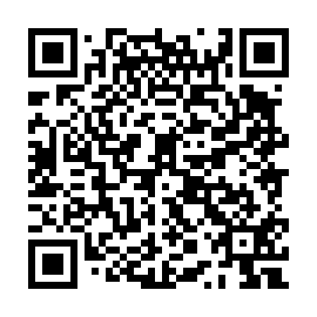 QR code for PPX411