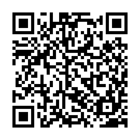 QR code for PQI-294