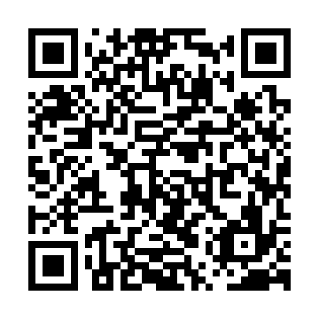 QR code for PUY336