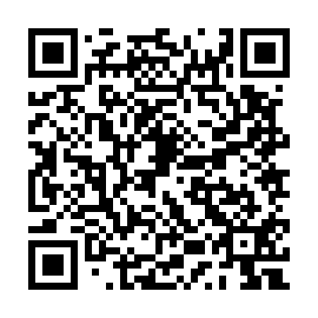 QR code for PUZ-511