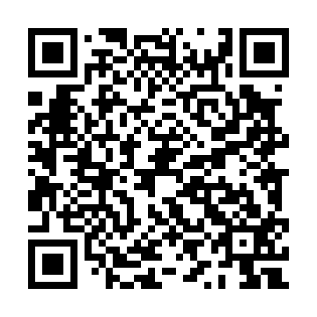 QR code for plate PYL-013