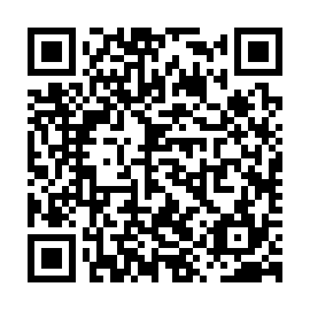 QR code for PYR-334