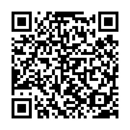 QR code for PZZ-619
