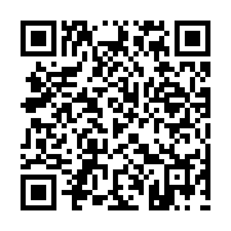 QR code for Q0125Z