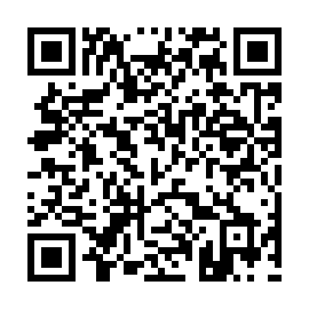 QR code for Q0196X