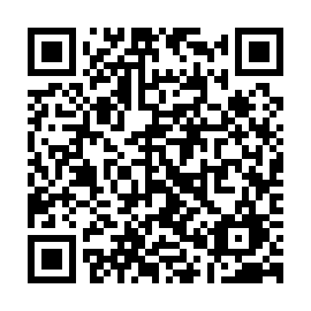 QR code for Q0313G