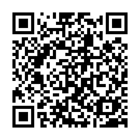 QR code for plate Q03-53M