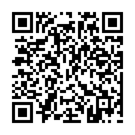 QR code for Q0389Q