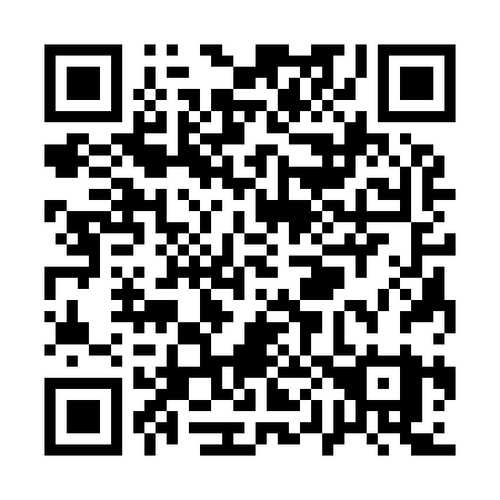 QR code for Q0392Y