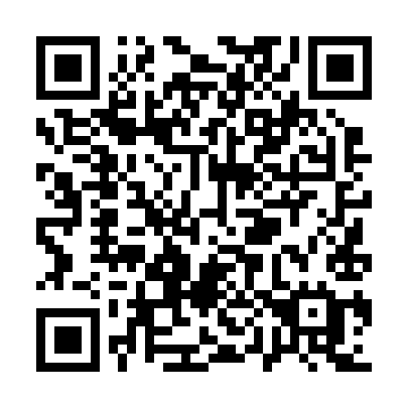 QR code for plate Q04-29E