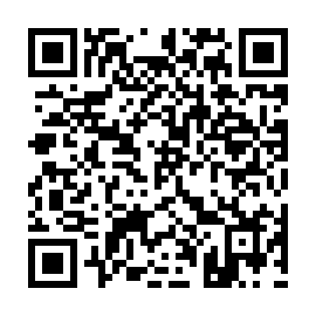 QR code for Q0989Z