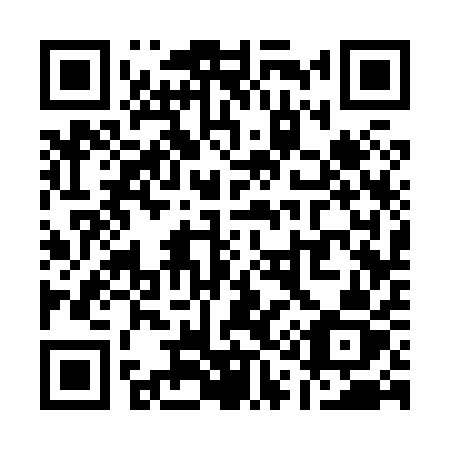 QR code for Q1381Z
