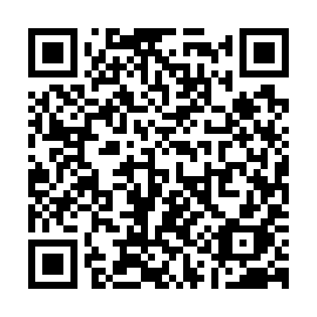 QR code for plate Q15-79H