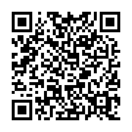 QR code for plate Q16-81M