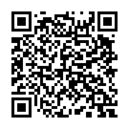 QR code for Q29-41D