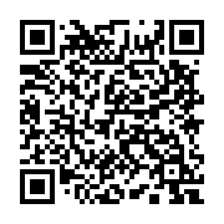 QR code for Q29-51N