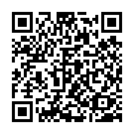 QR code for Q29-63X