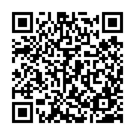 QR code for plate Q29-69V