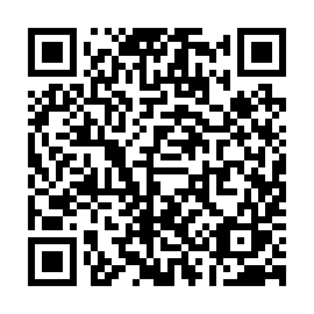 QR code for Q31-29S