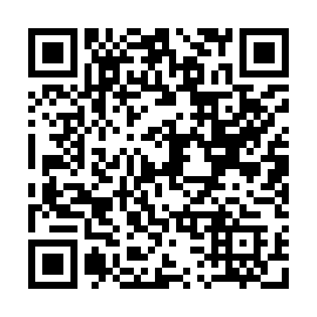 QR code for Q31-95C