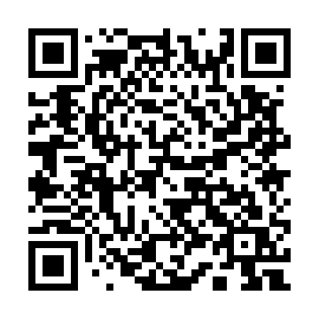 QR code for plate Q31-51S