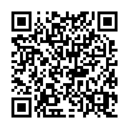 QR code for Q46-28T