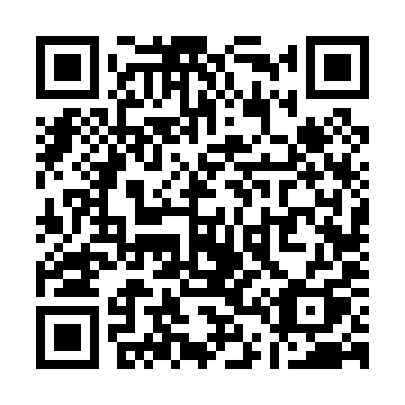 QR code for Q4609Q
