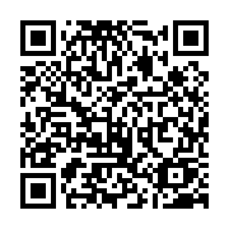 QR code for plate Q49-17U
