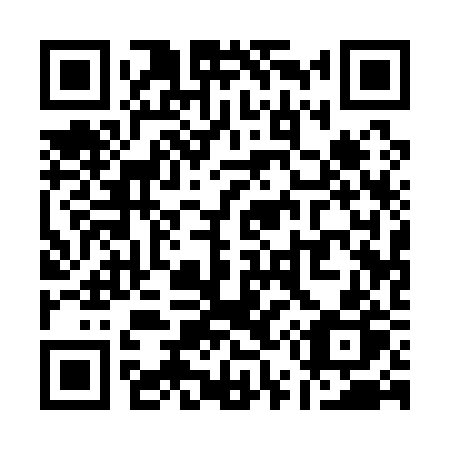 QR code for plate Q51-12P