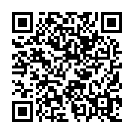 QR code for plate Q51-91L