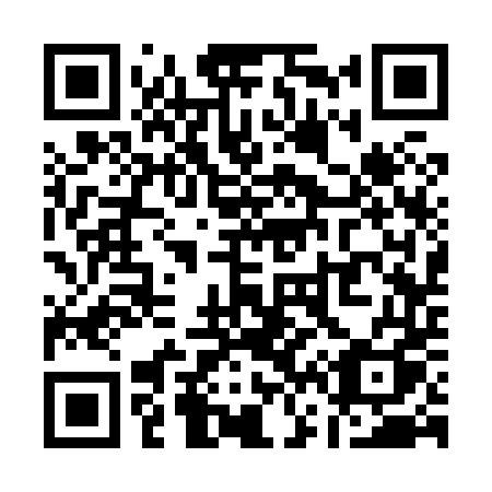 QR code for Q6384Q