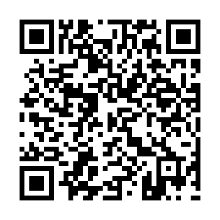 QR code for Q81-02P