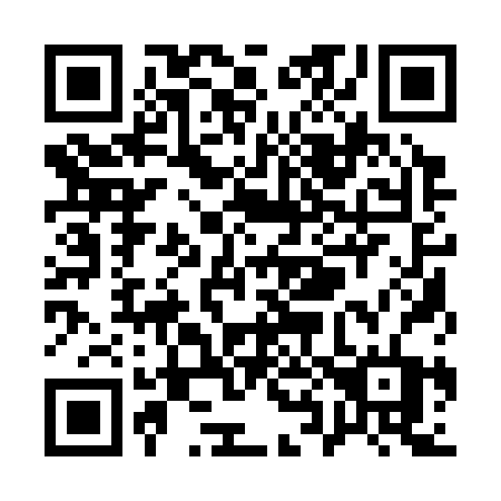 QR code for plate Q81-32T