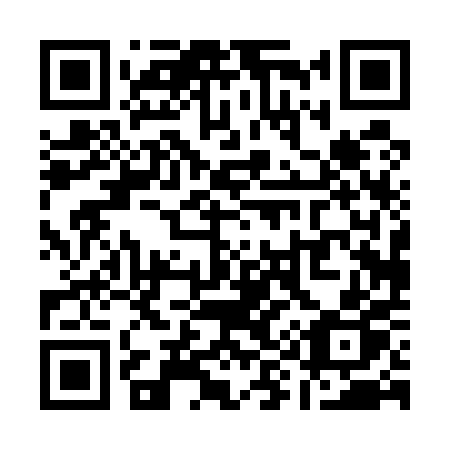 QR code for Q9050P