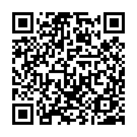 QR code for Q91-46P