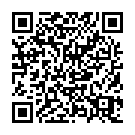 QR code for Q9110P