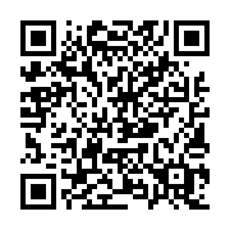 QR code for Q95-41D