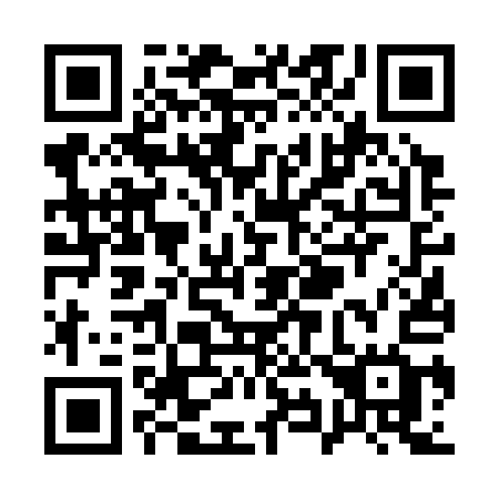 QR code for Q96-31G