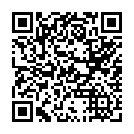 QR code for plate QDG-234