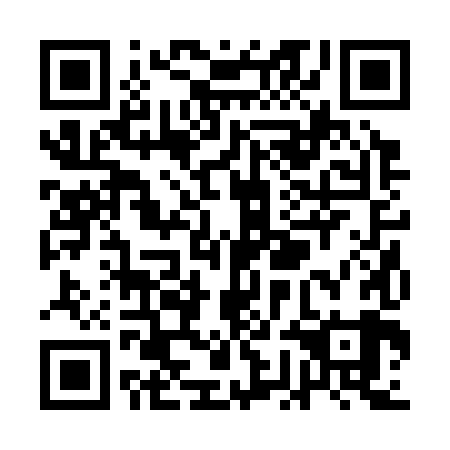 QR code for plate QGB-389