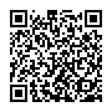 QR code for QGI339