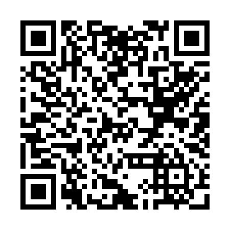 QR code for QIA-295