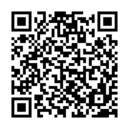 QR code for QJS316