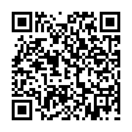 QR code for plate QLE-917
