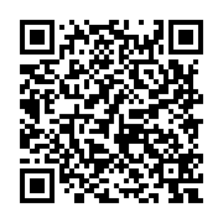 QR code for QLH919